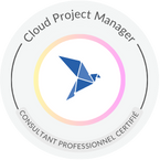 project manager